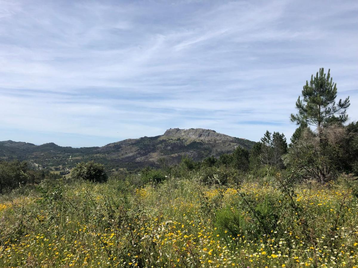 Marvão 阿连特茹阳台旅馆酒店 外观 照片